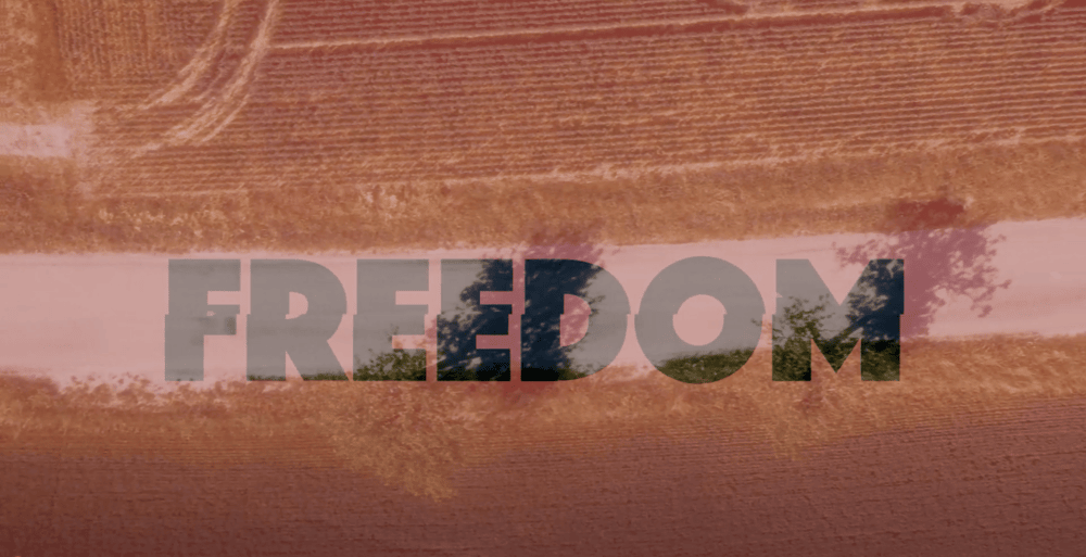 Video project Freedom of Mustang